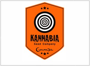 Kannabia Seeds