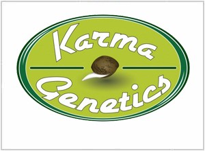 Karma Genetics