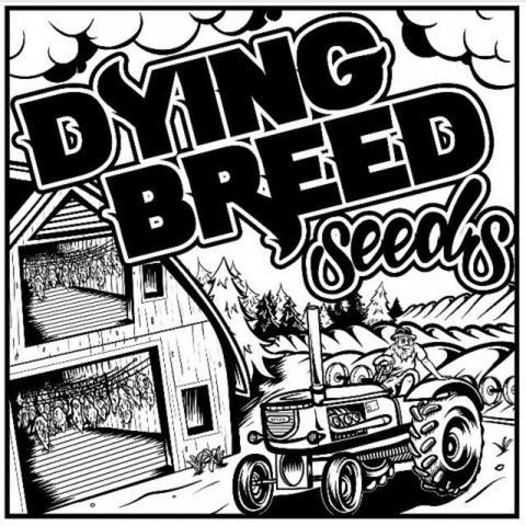 Dying Breed Seeds