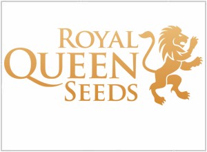 Royal Queen Seeds