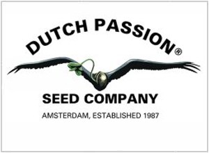 Dutch Passion