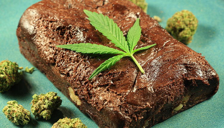Cómo hacer brownies de marihuana - CannaConnection - CannaConnection
