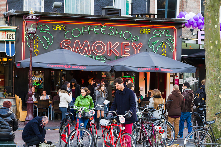 elfbar nachfüll pod läuft aus Tout savoir sur les coffee shops d'Amsterdam – blogvoyage.org main image 1