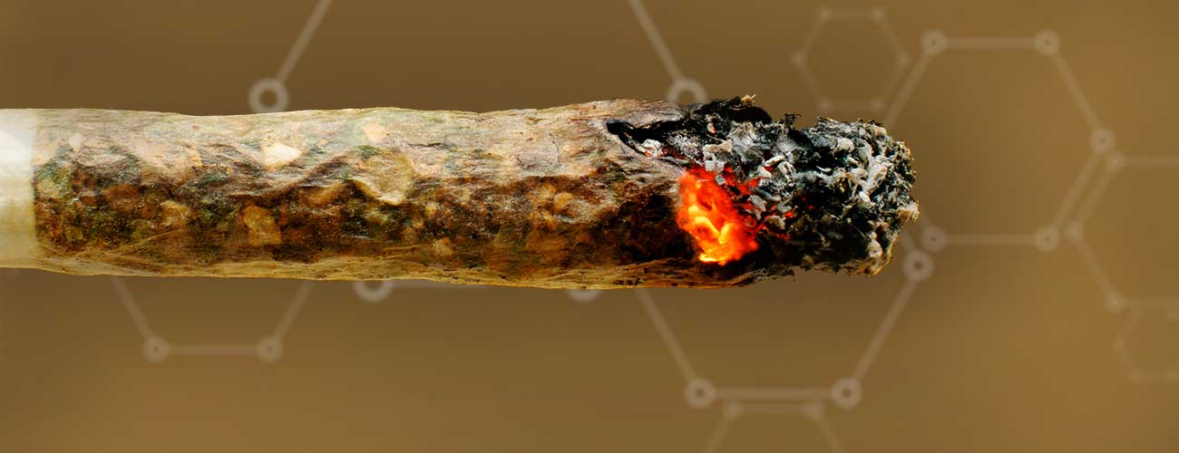 Does The Use Of Rolling Paper Affect Your Health Cannaconnection Com