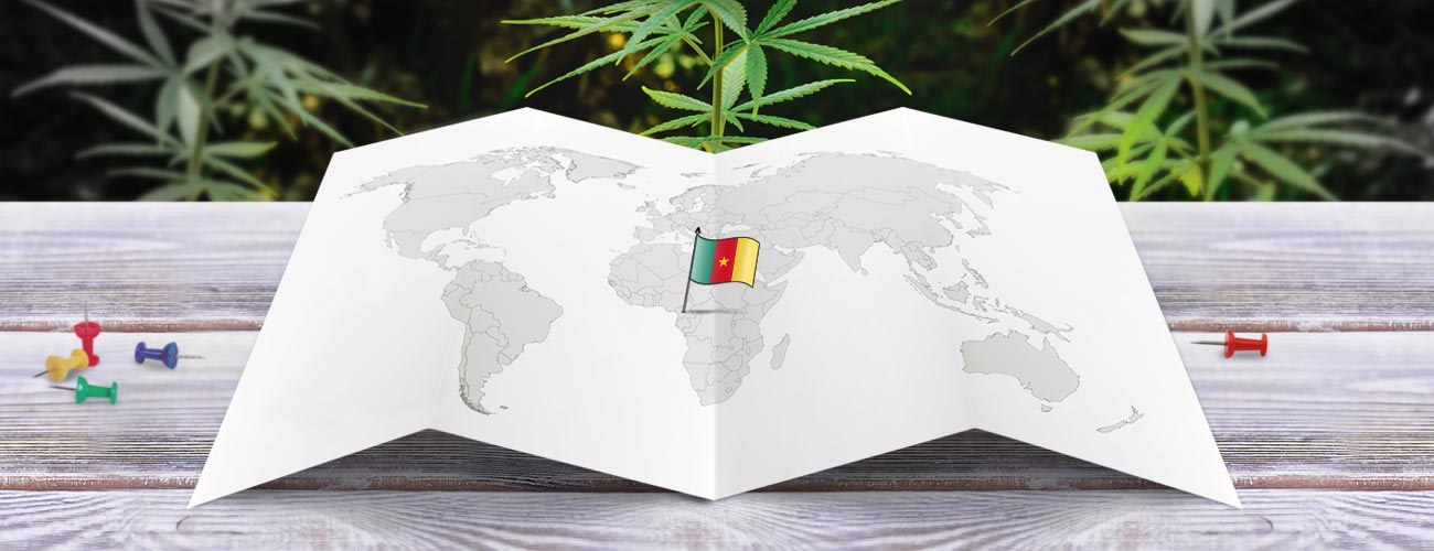 Statut légal du cannabis au Cameroun CannaConnection