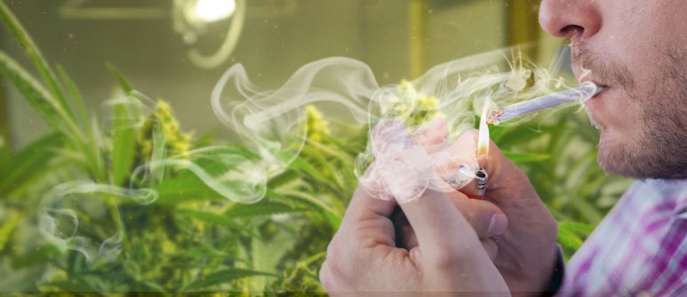 swedish chewing tobacco Swedish Snus Stock Photo - Download Image Now - Can, Chewing Tobacco,  Tobacco Product