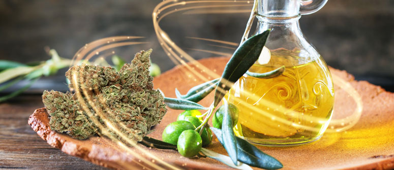 Aceite de Marihuana Hecho Con Aceite de Oliva y Cannabis