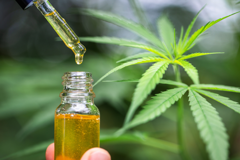 ¿Cuánto tarda en absorberse el CBD y cuánto dura su efecto? CannaConnection