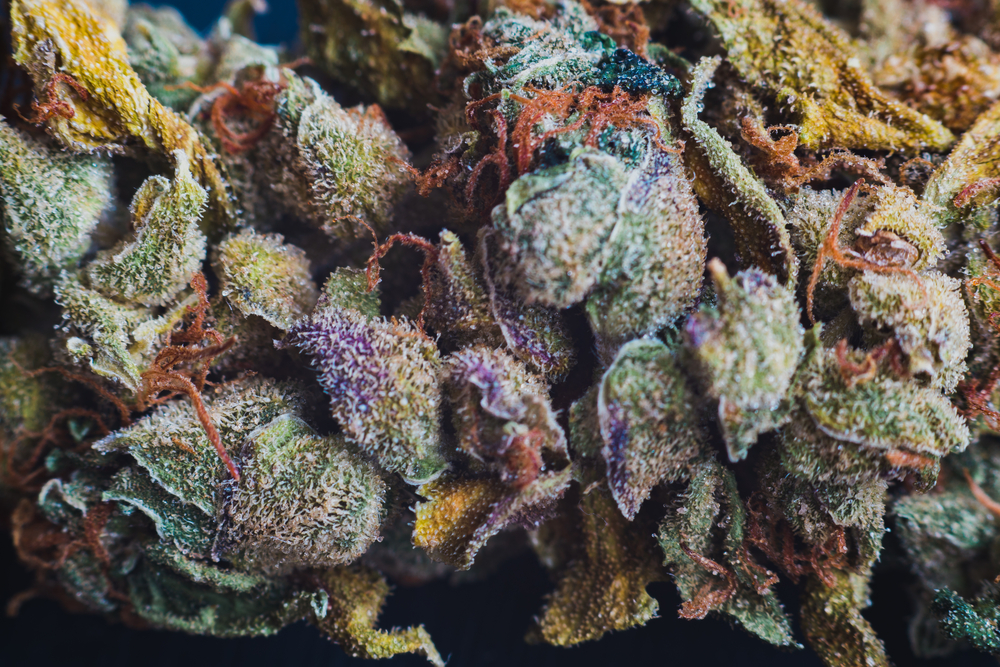 What are Flavonoids? What Health Benefits Do They Offer? CannaConnection