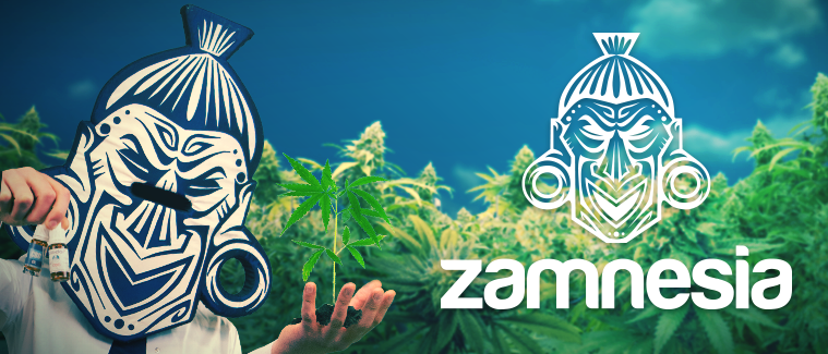 Buy Cannabis Seeds  More than 3000 strains! - Zamnesia