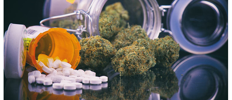 Interactions entre médicaments et cannabis