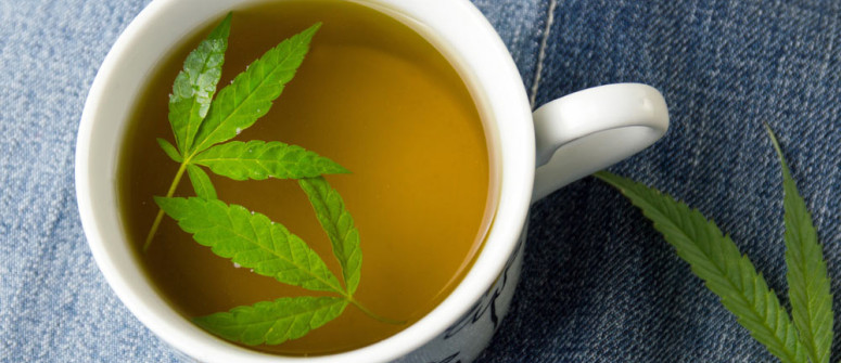 What is bhang lassi, where does it come from and how do you make it? What is bhang lassi, where does it come from and how do you make it?
