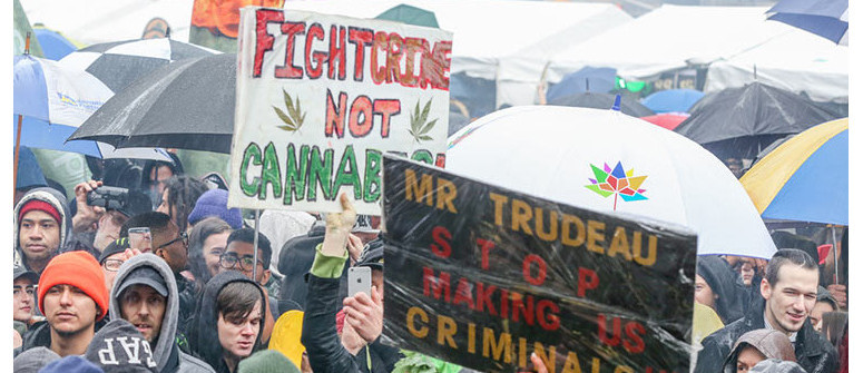 Cannabis legalization in canada: a first-year summary