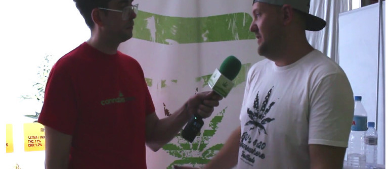 Entrevista con Fast Buds