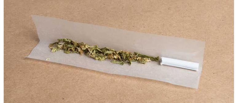 10 potential uses for hemp paper