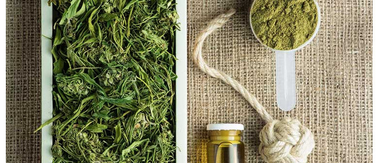 What is industrial hemp used for? What is industrial hemp used for?