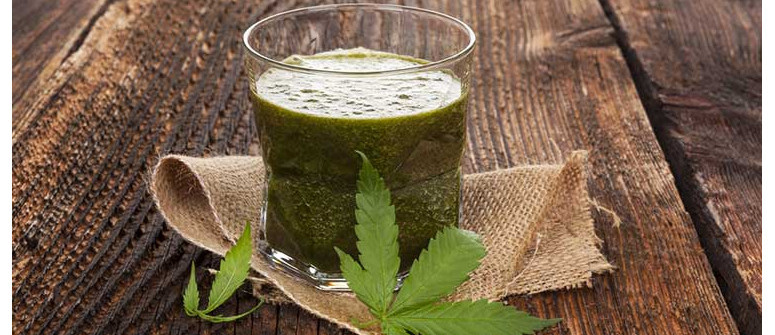 Beneficios del jugo de marihuana cruda