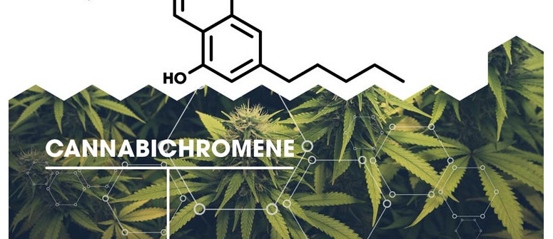 What is cannabichromene (CBC)?