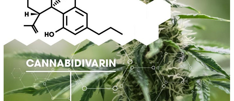 What is cannabidivarin (CBDV)?