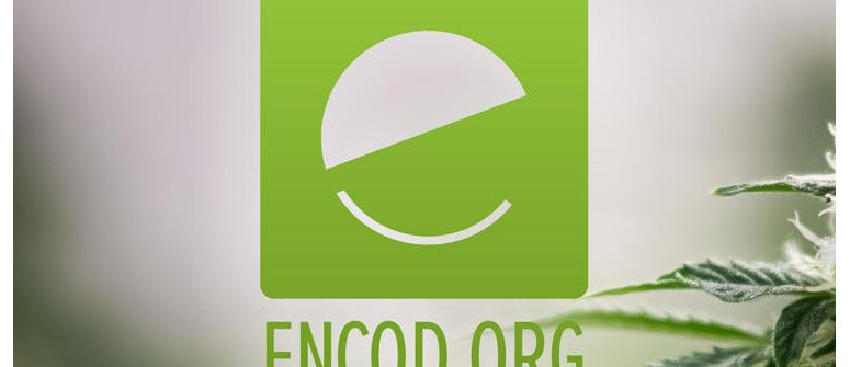 ENCOD (Coalition Européenne pour des Politiques Justes et Efficaces en Matière de Drogues) ENCOD (Coalition Européenne pour des Politiques Justes et Efficaces en Matière de Drogues)