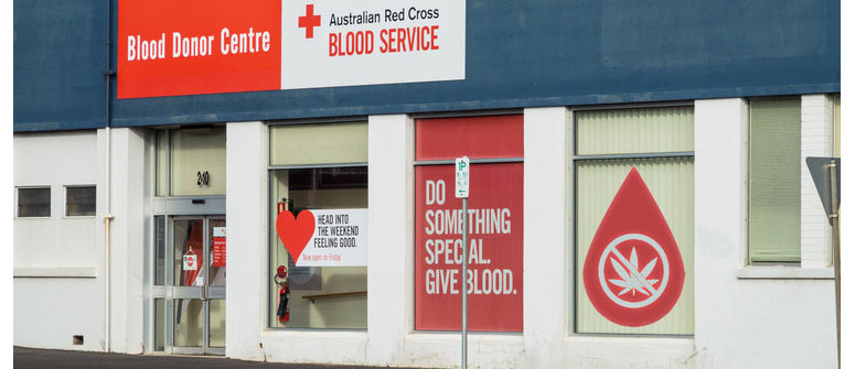 Can you donate blood if you smoke marijuana Can you donate blood if you smoke marijuana