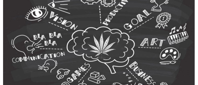 Comment La Weed Peut En Réalité Améliorer La Productivité Comment La Weed Peut En Réalité Améliorer La Productivité
