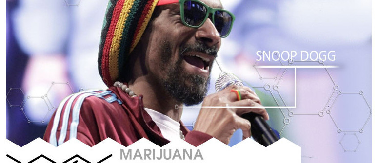 Marijuana VIP: Snoop Dogg