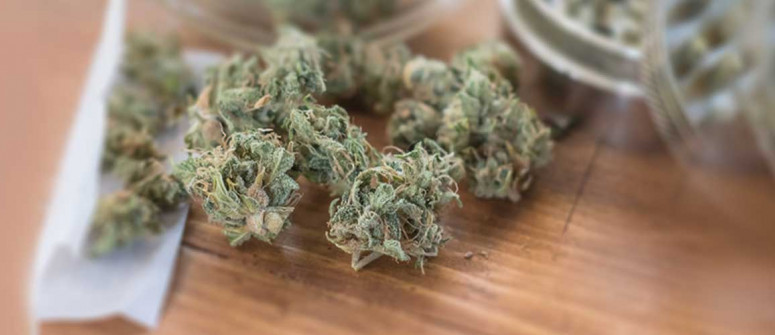 8 ways to grind weed without a grinder 8 ways to grind weed without a grinder
