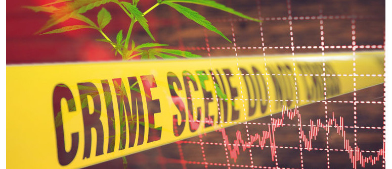 Does legalizing cannabis really reduce crime rates?