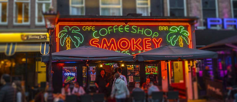 Coffeeshops de Amsterdam: 15 consejos para novatos