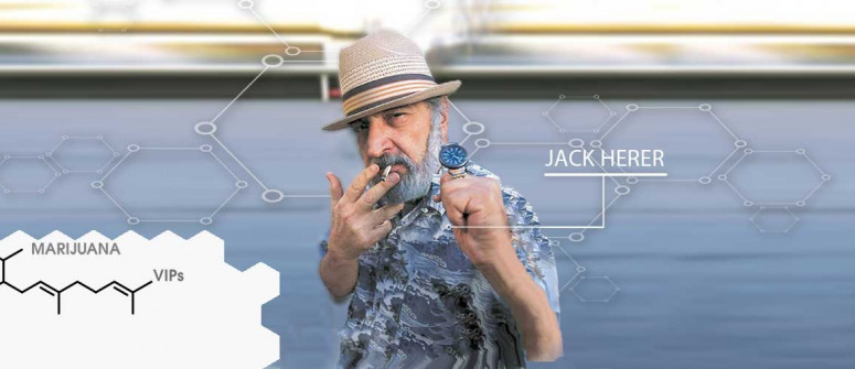 Stars du cannabis : Jack Herer