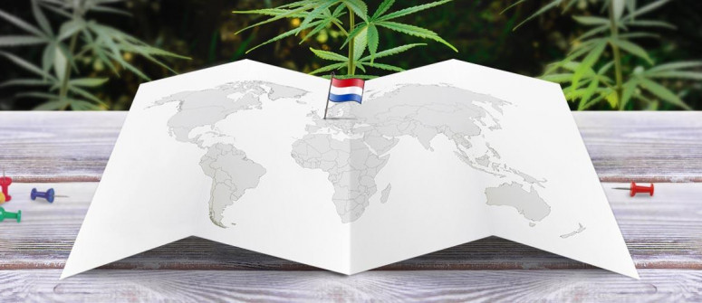 Situación legal de la marihuana en los Países Bajos