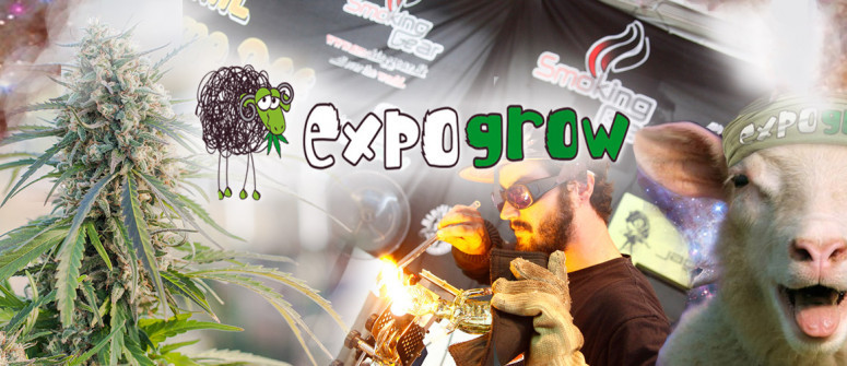 Expogrow - un evento ideal para todos los aficionados al cannabis