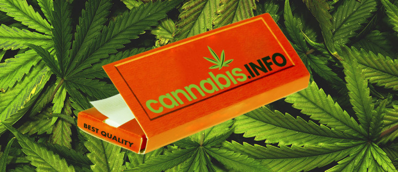 The ultimate guide to rolling papers The ultimate guide to rolling papers