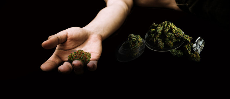 Can you die from a marijuana overdose?