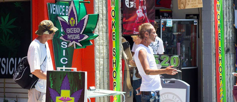 Weed in california: how to buy legal cannabis in california? Weed in california: how to buy legal cannabis in california?