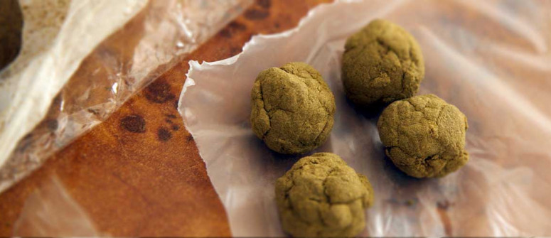 The history of hashish and where it comes from