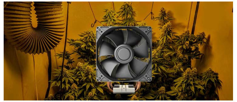 How To Use A Computer Fan For Your Small Grow Space - growblox roblox