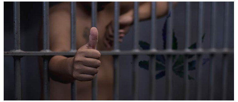 Could legalization give new hope to cannabis convicts? Could legalization give new hope to cannabis convicts?
