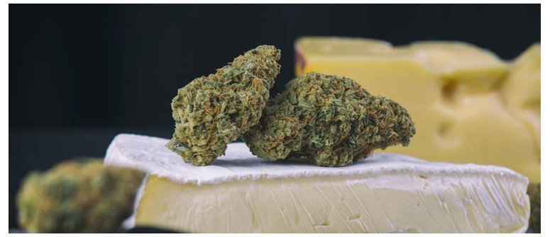The origins of the cheese strain