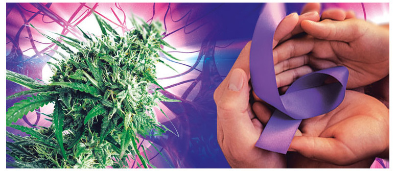 Today is purple day: a day for international epilepsy awareness Today is purple day: a day for international epilepsy awareness