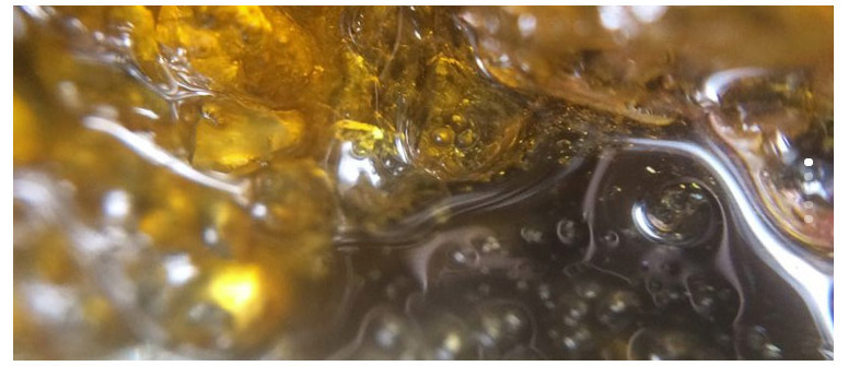 What is terp sauce and how is it made? What is terp sauce and how is it made?