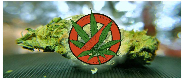 7 reasons why it sucks to live in a place where weed is illegal 7 reasons why it sucks to live in a place where weed is illegal