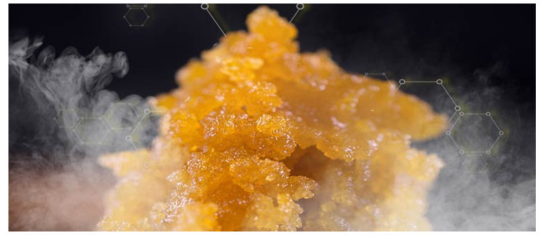 Cómo hacer “live resin” con cogollos frescos