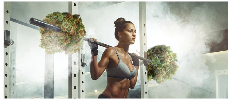 Can cbd help you build lean muscle?