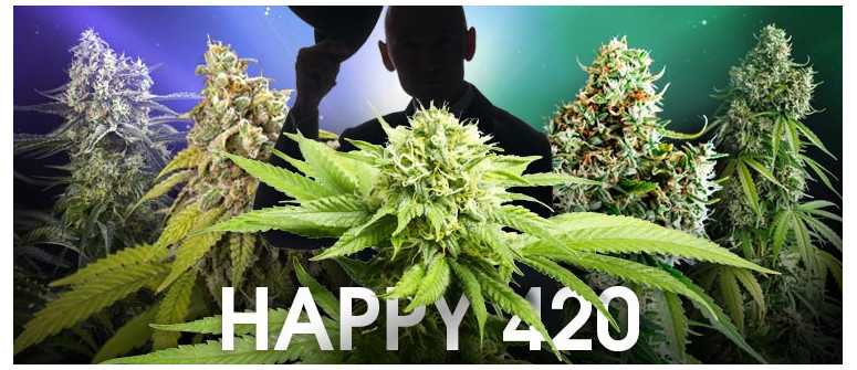 Joyeux 420 ! Hommage à 5 des variétés de cannabis les plus influentes