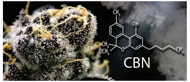 Qu'est-ce que le CBN (Cannabinol) ?