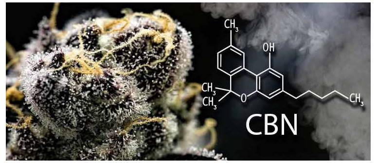 ¿Qué es el CBN (cannabinol)?