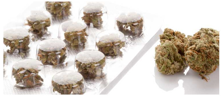 Less is more: how to properly dose cannabis Less is more: how to properly dose cannabis