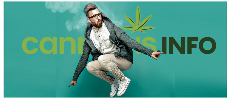 10 Conseils pour rester productif sous cannabis 10 Conseils pour rester productif sous cannabis